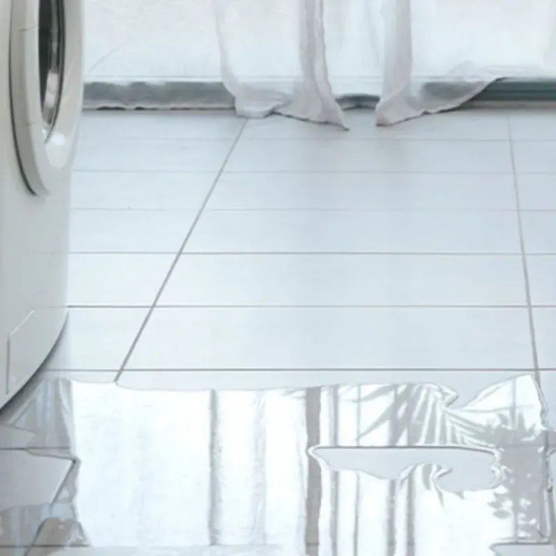 Appliance Leak Cleanup in Sheridan County, ND