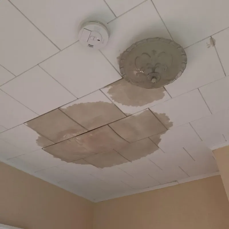 Ceiling Water Damage Repair in Sheridan County, ND