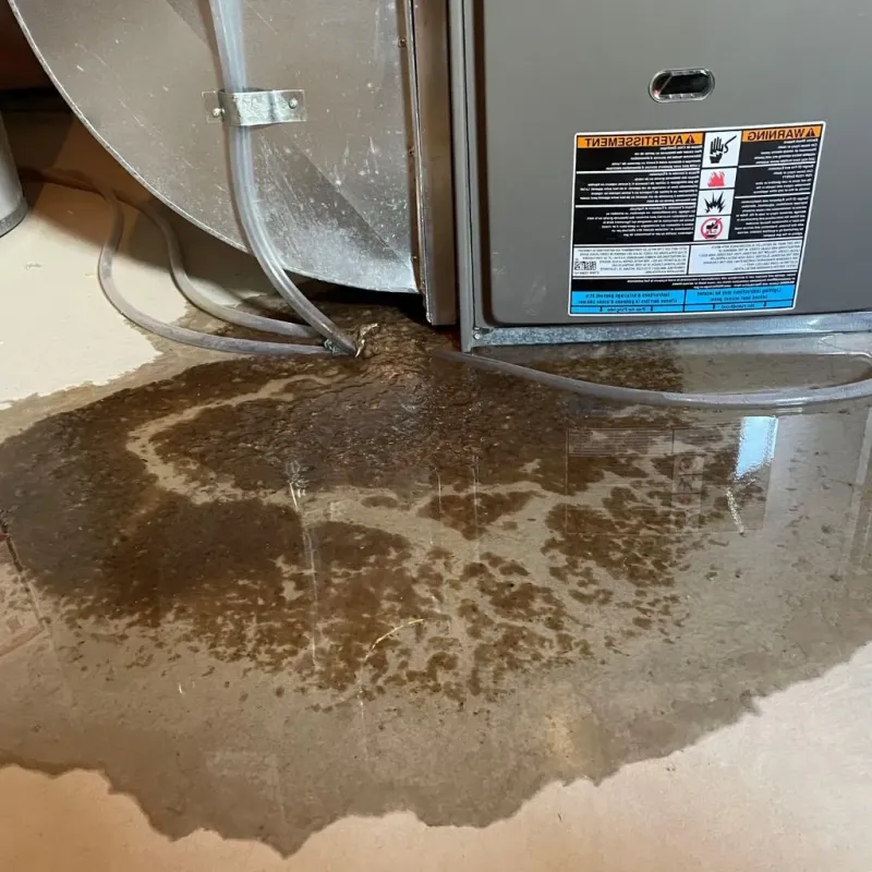 Pipe Burst and Leak Restoration in Sheridan County, ND
