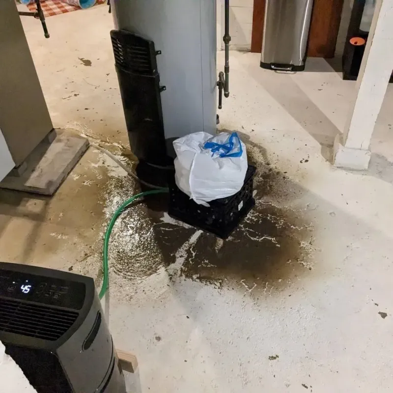 Sewage Backup Cleanup Service in Sheridan County, ND